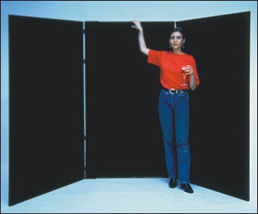 Velcro folding room divider partition, panel size 48x72 inches