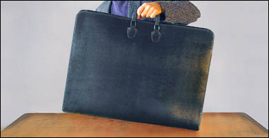15x20 inch portfolio case